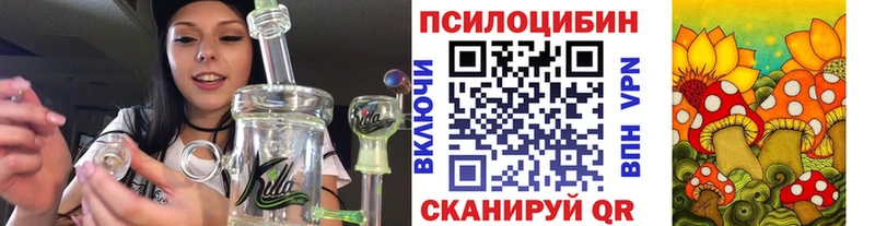 Псилоцибиновые грибы Psilocybe  mega онион  Райчихинск 